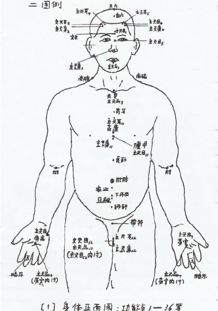 human body1