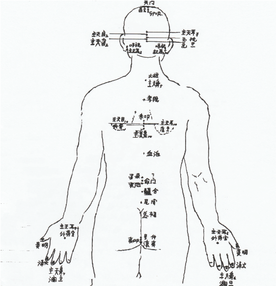 human body2