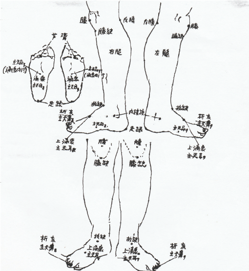 human body6