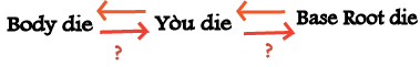 MiBu